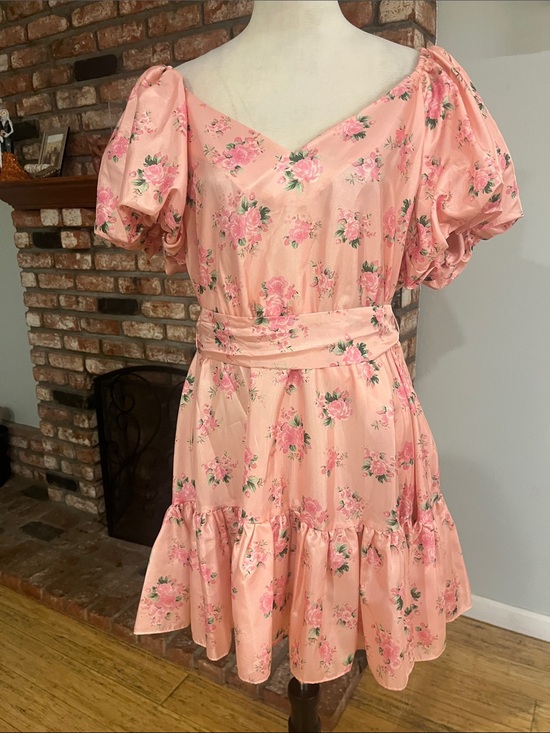 LoveShackFancy Dresses & Skirts - LoveShackFancy x Target PTP 21 Pink Floral Puff-Sleeve Mini Dress